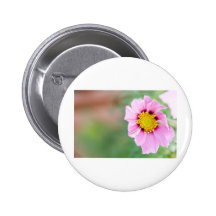 wild flower pinback button