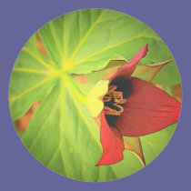 Wild Flower stickers