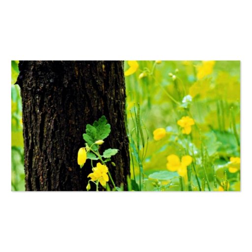 Wild flowers and tree, Sherbrooke, Quebec, Canada Business Card Template (back side)