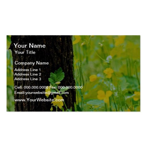 Wild flowers and tree, Sherbrooke, Quebec, Canada Business Card Template (front side)