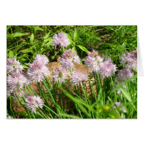 Wild Flowers cards by Kiyoshi Wild Flowers cards
