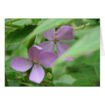 Wild Flowers cards