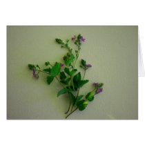 wild flowers cards