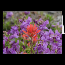 Wild flowers cards