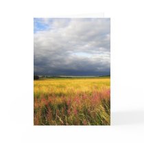 Wild flowers meadow cards
