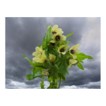 Wild Flowers posters