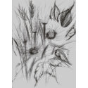 Wild Flowers Sketch1 print