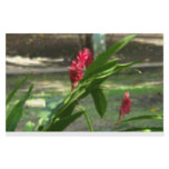 Wild Flowers Stationery