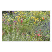 Wild flowersa stationery