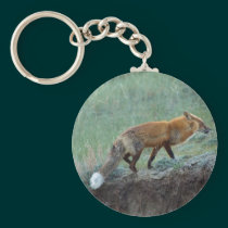 Wild Fox Animal Wildlife keychains