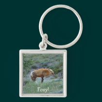 Wild Fox Animal Wildlife keychains