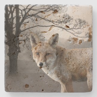 Wild Fox Photography Stone Coaster
