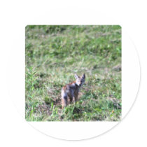 wild fox stickers by mark59956 wild fox stickers
