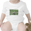 wild fox t-shirts