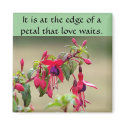 Wild Fuchsias magnets