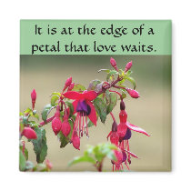 Wild Fuchsias magnets by katmal Wild Fuchsias magnets