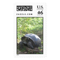Wild Galapagos postage by eltortugafuerte Wild Galapagos postage