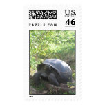 Wild Galapagos Postage