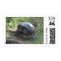 Wild Galapagos Tortoise postage by eltortugafuerte Wild Galapagos Tortoise postage