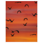 Wild geese in flight at sunset flyers