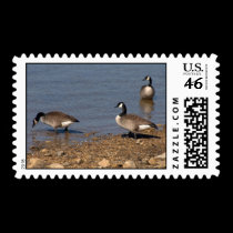 Wild Geese Postage stamps