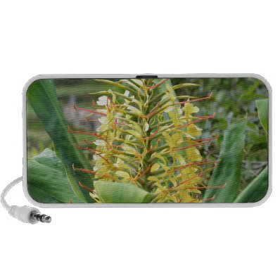 Wild Ginger. Mini Speakers