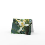 Wild Ginger Note Card