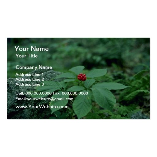 Wild Ginseng (Panax Quinquefolius) flowers Business Card Templates (front side)