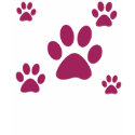 "Wild Girl" Pawprint T-Shirt by ABS_Cartoon "Wild Girl" Pawprint T-Shirt