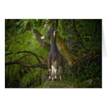 Wild Goat Greeting Card