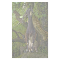 Wild Goat Stationery by SabineSt Wild Goat Stationery