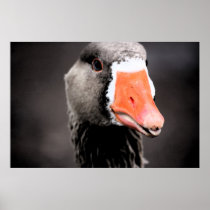 Wild Goose Tounge Print