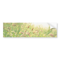 Wild gramineous bumper sticker