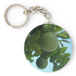 Wild Grapefruit Honey Pomelo Hong Kong Keychains