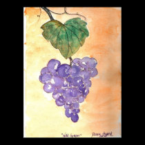 Wild Grapes posters