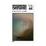 Wild Grass Stamp