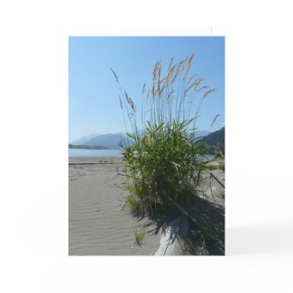 Wild Grasses card