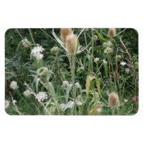 Wild Grasses Premium Magnet
