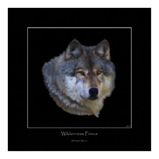 Wild Gray Wolf Art Poster print