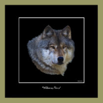 Wild Gray Wolf Art Poster posters