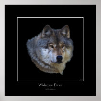 Wild Gray Wolf Art Poster