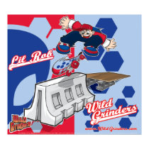 WILD GRINDERS LIL ROB TRE FLIP POSTER posters
