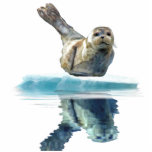 WILD HARBOR SEAL sculpted Wildlife Art Gift Cut Outs