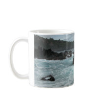 Wild Hawaii 1 mugs