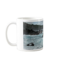 Wild Hawaii mugs