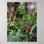 Wild Hawaiian Ginger Print