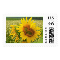 Wild heart , postage stamp by ginaayerssignore Wild heart , postage stamp