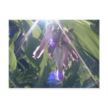 wild hearts' sun post card