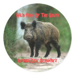 Wild Hogs Of The South, Author R... Stickers