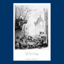 Wild Hogs posters